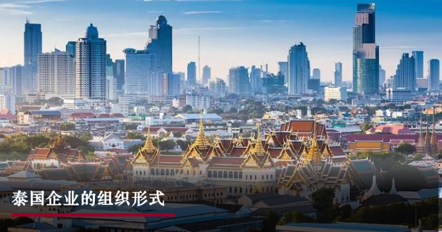 星睿研究 | 泰国企业的组织形式